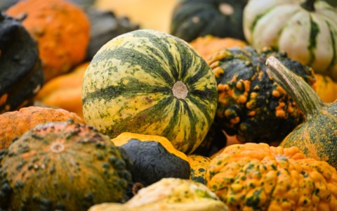 I Superfood di ottobre: cosa mangiare per fare il pieno di benessere